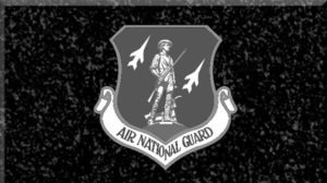 Air National Guard Badge