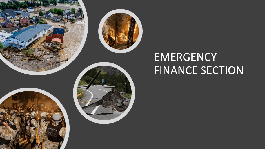 Emergency Finance Section logs